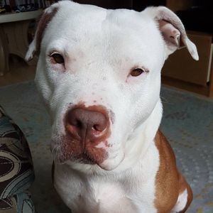 Meet your Posher, Kristine